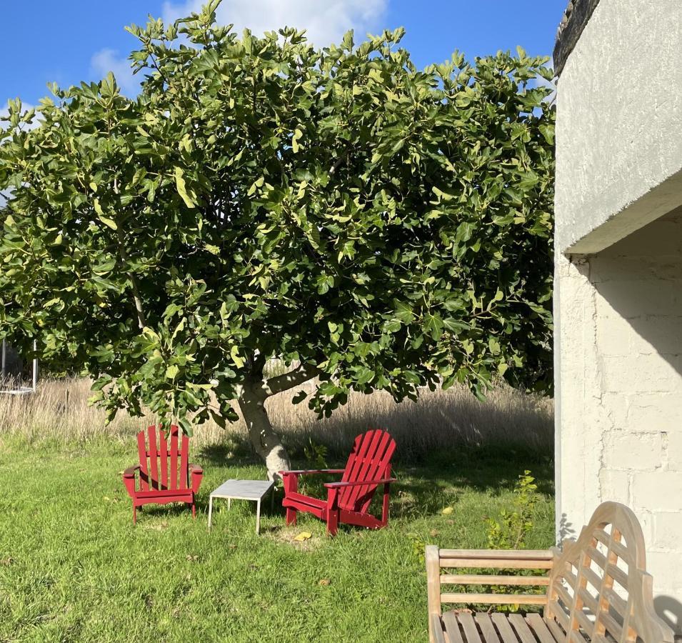 La Part Des Anges 29 - Maison D'Hotes Et Table Epicurienne Penmarcʼh Exteriér fotografie